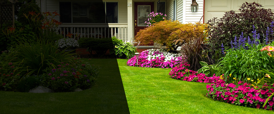 Petal Landscapers